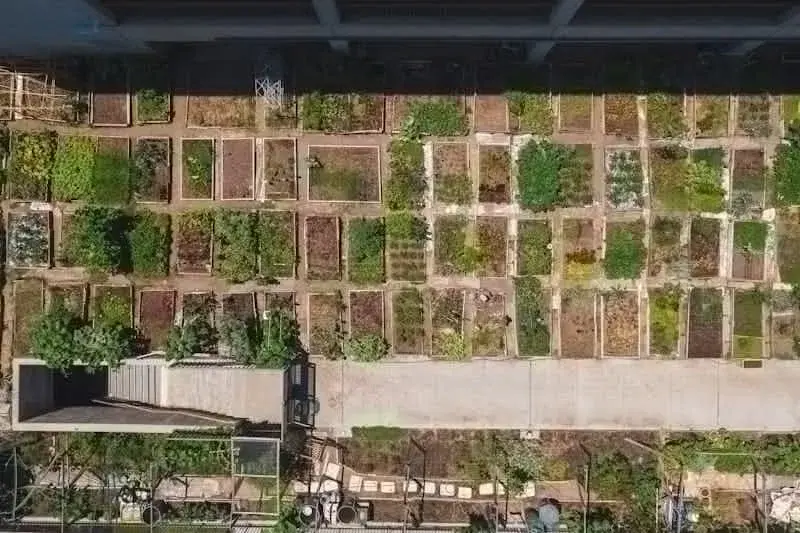 Photo de jardins d'agriculture urbaine